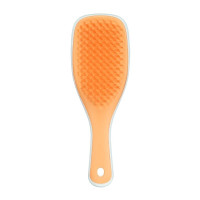 Щетка для волос Tangle Teezer The Ultimate Detangler Mini Ice Blue&Sweet Orange