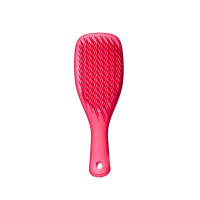 Щетка для волос Tangle Teezer Wet Detangler Mini Pink Punch