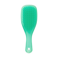 Щетка для волос Tangle Teezer Wet Detangler Mini Green Lizard