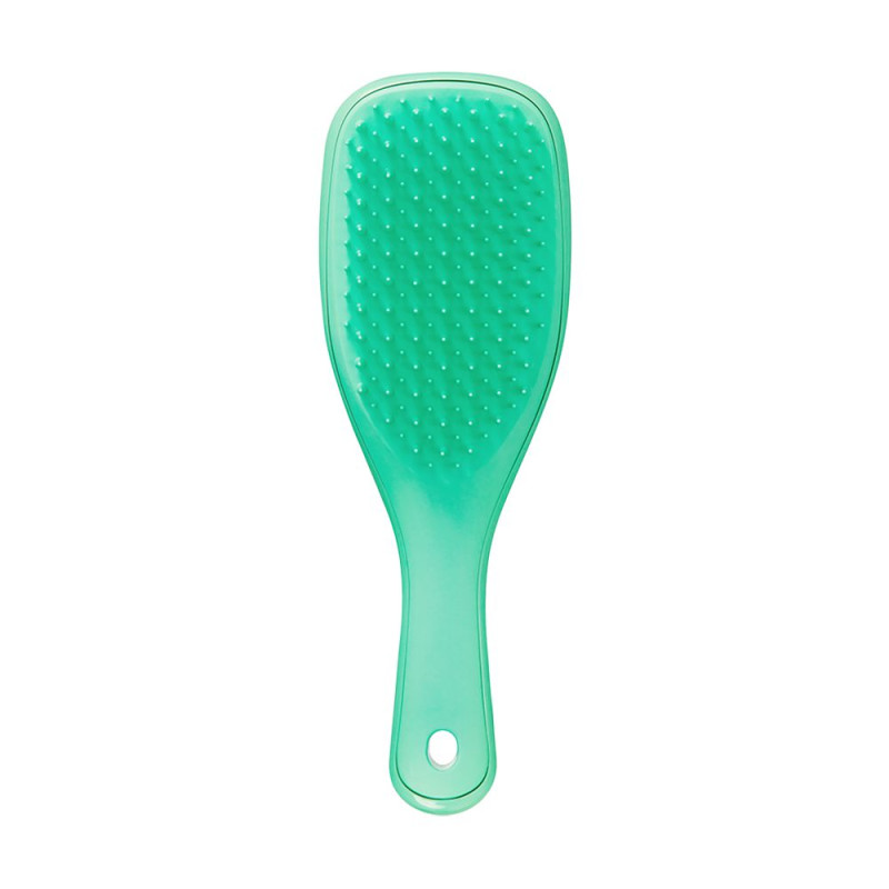 Щетка для волос Tangle Teezer Wet Detangler Mini Green Lizard