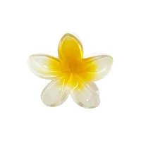 Заколка для волосся "Coconut" Emi Jay Super Bloom Clip in Coconut